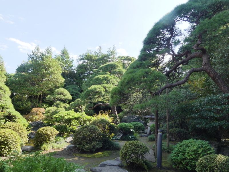 ��̏�ɂ������̖�

AI �����R���e���c�͌����܂މ\��������܂��B