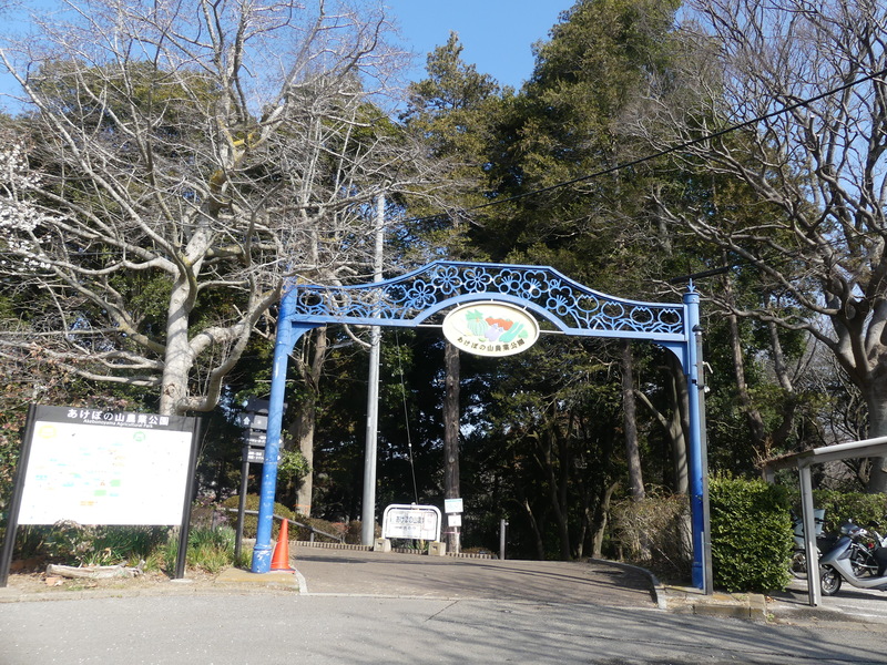 ���O, �L��, ���H, �X�g���[�g ���܂܂�Ă���摜

AI �����R���e���c�͌����܂މ\��������܂��B