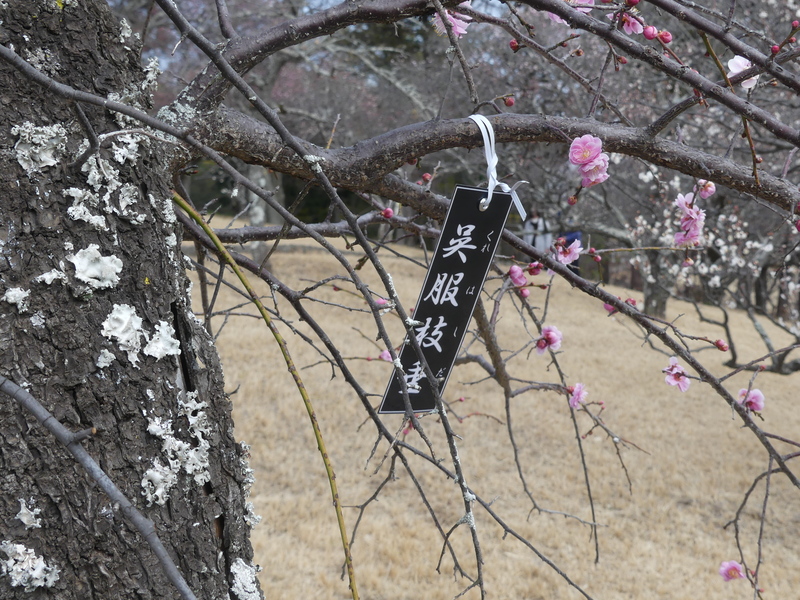 ���O, ���]��, ��, ���� ���܂܂�Ă���摜

AI �����R���e���c�͌����܂މ\��������܂��B