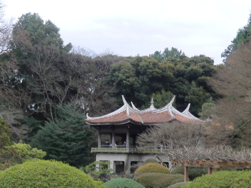 山の中の家
AI 生成コンテンツは誤りを含む可能性があります。