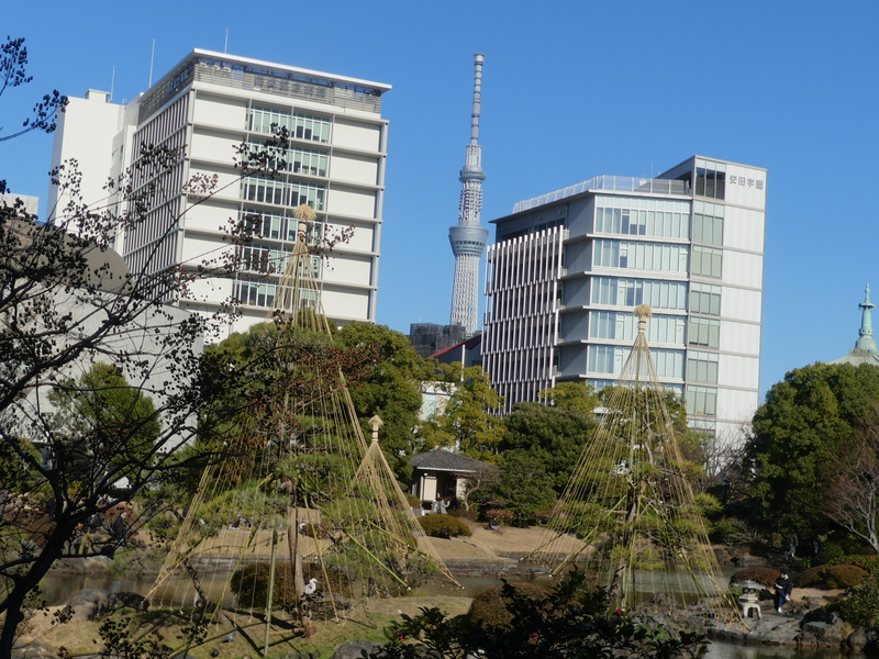 �A�p�[�g�̃r��

AI �����R���e���c�͌����܂މ\��������܂��B