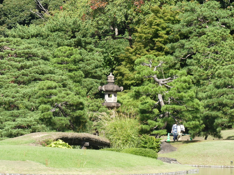 屋外, 草, 工場, 木 が含まれている画像
AI 生成コンテンツは誤りを含む可能性があります。