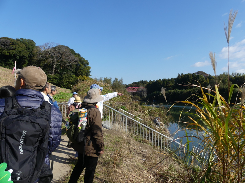 ���O, �l, ��, �j ���܂܂�Ă���摜

AI �����R���e���c�͌����܂މ\��������܂��B