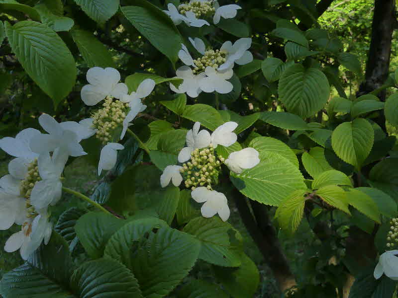 Ԃ炢ĂA

Iɐꂽ