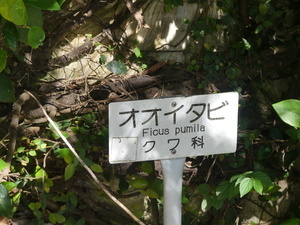 X̒ɔtĂŔ

AI Rec͌܂މ\܂B