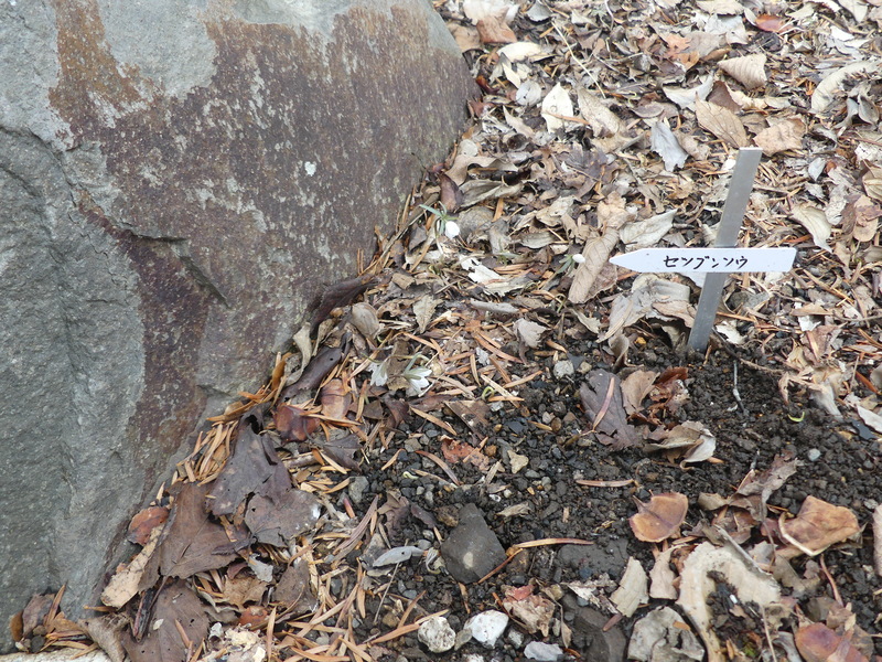 岩, 屋外, 座る, 破壊 が含まれている画像
AI 生成コンテンツは誤りを含む可能性があります。