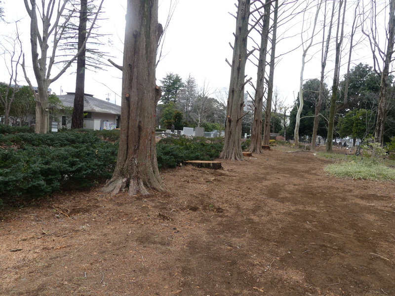 森の中の道
AI 生成コンテンツは誤りを含む可能性があります。