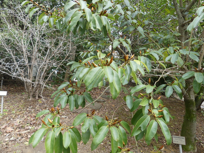 ��ɐA���Ă���A��

AI �����R���e���c�͌����܂މ\��������܂��B