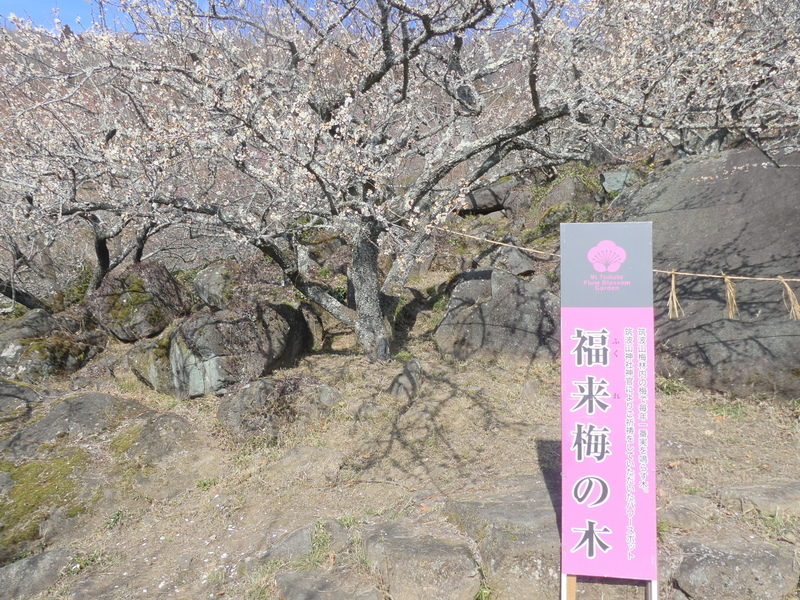 �΂̕ǂ̑O�ɗ����Ă���

AI �����R���e���c�͌����܂މ\��������܂��B