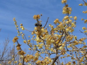 �Ԃ��炢�Ă����

AI �����R���e���c�͌����܂މ\��������܂��B