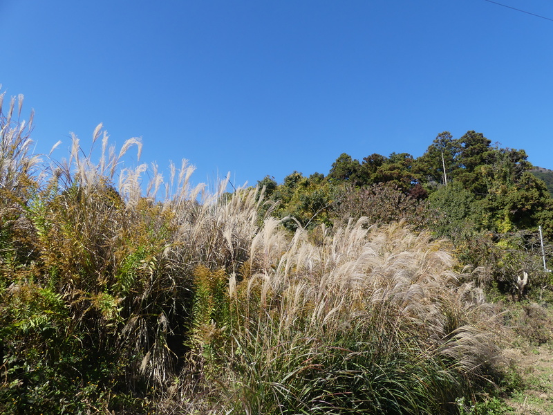 �΂݂̒��̐�

AI �����R���e���c�͌����܂މ\��������܂��B