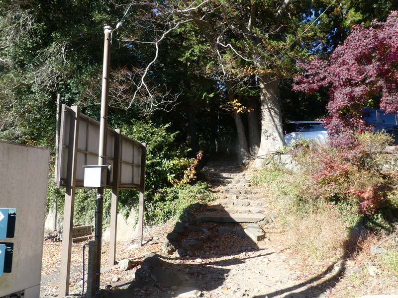 森の中の道
AI 生成コンテンツは誤りを含む可能性があります。