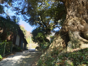 �X�̒��̓�

AI �����R���e���c�͌����܂މ\��������܂��B