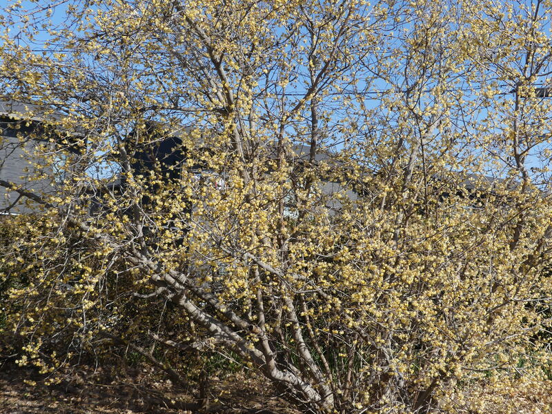 森の中の木
AI 生成コンテンツは誤りを含む可能性があります。