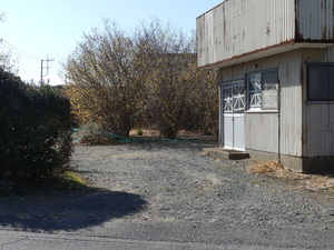 �����̑O�ɗ����Ă����

AI �����R���e���c�͌����܂މ\��������܂��B